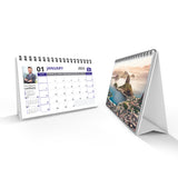 Right At Home Realty Desktop Calendars - Destinations