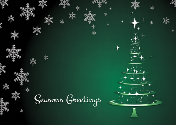 Flat Raised Spot Gloss front — Holiday Cards - FT116
