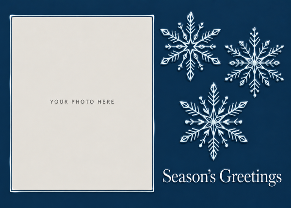 Flat Standard front — Midnight Snowflakes Photo Holiday Cards - PH203
