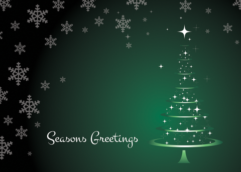 Holiday Cards - FT116