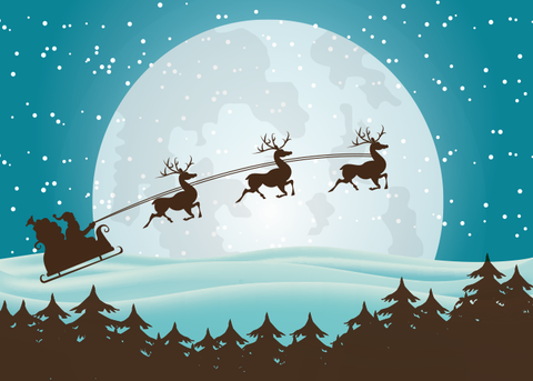 Holiday Cards - FT117