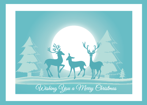 Holiday Cards - FT123