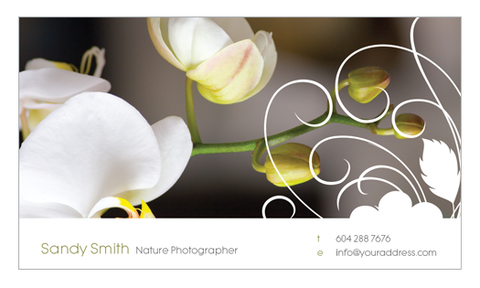 Business Card - FT - HDS-23 - New Era Print Solutions