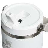 Stanley IceFlow™ Flip Straw Tumbler 20 oz — Frost (FRST) — blank right angle — 10