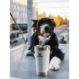 Stanley Stay-Chill Stacking Pint 16oz — Polar (PLR) — blank product view — 10