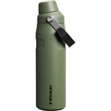 Stanley IceFlow™ Bottle with Fast Flow Lid 24 oz — Dried Pine — blank back view — 14
