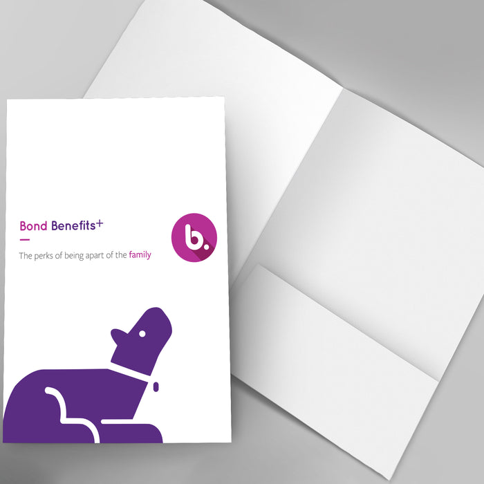 Blank One Pocket Presentation Folders
