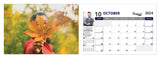 iPro Realty Desktop Calendars - Canadian