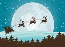 Flat Foil front — Holiday Cards - FT117