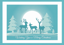 Flat Raised Spot Gloss front — Holiday Cards - FT123