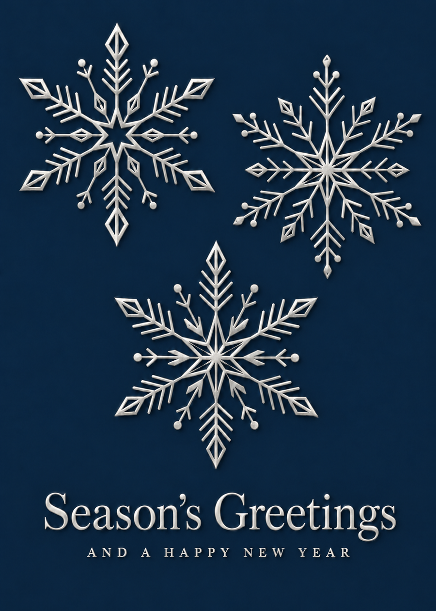 Silver Foil Midnight Snowflakes Folded Holiday Cards - FD203