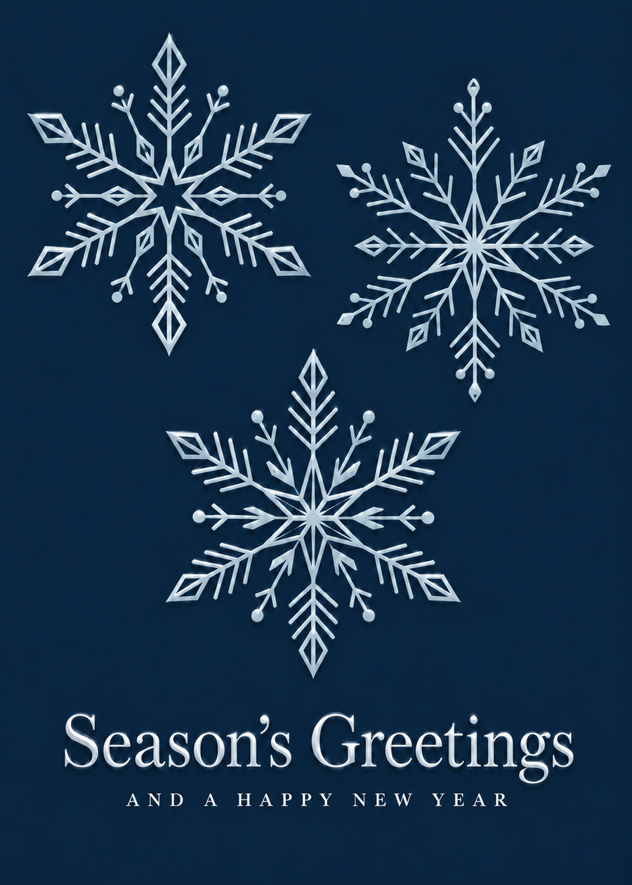 Spot Gloss Midnight Snowflakes Holiday Cards - FT203