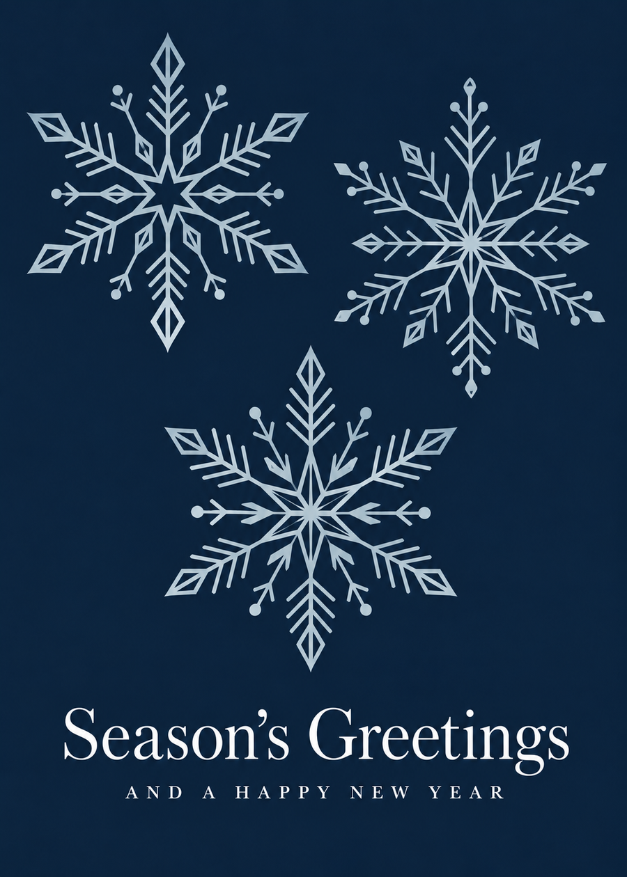 Midnight Snowflakes Folded Holiday Cards - FD203