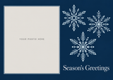 Flat Foil front — Midnight Snowflakes Photo Holiday Cards - PH203 — 1