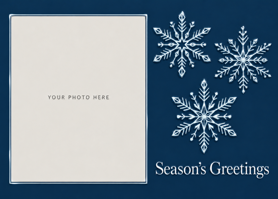 Midnight Snowflakes Photo Cards - PH203