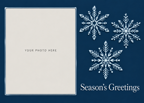 Flat Standard front — Midnight Snowflakes Photo Holiday Cards - PH203
