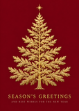 Flat Foil front — Evergreen Elegance - FT201 — 1