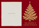 Flat Foil front — Evergreen Elegance Photo Holiday Cards - PH201 — 1
