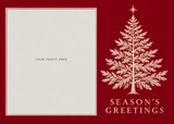 Flat Raised Spot Gloss front — Evergreen Elegance Photo Holiday Cards - PH201 — 1