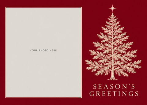 Flat Standard front — Evergreen Elegance Photo Holiday Cards - PH201