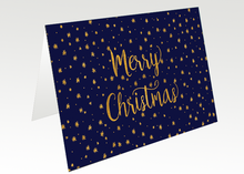 Folded Standard front — Holiday Cards - FT125